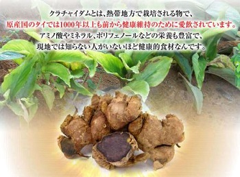 「クラチャイダムゴールド」